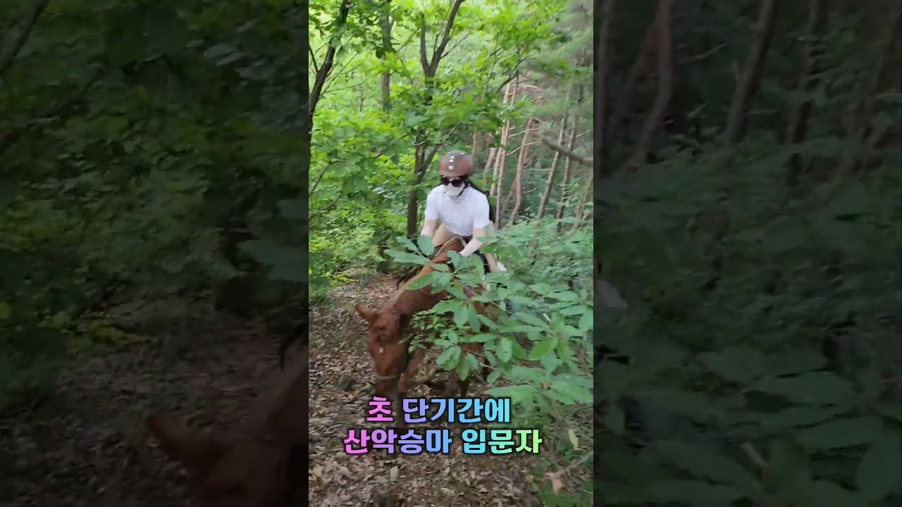 승마입문 28회 이런분도 있어ㅠ