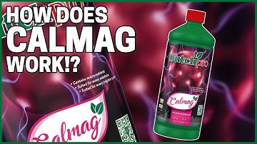 Calmag : How it works