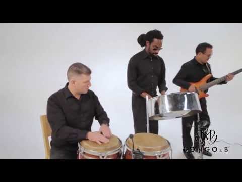 bongo-&-b-entertainment:-caribbean-jazz-trio-(steelpan,-bass,-conga)