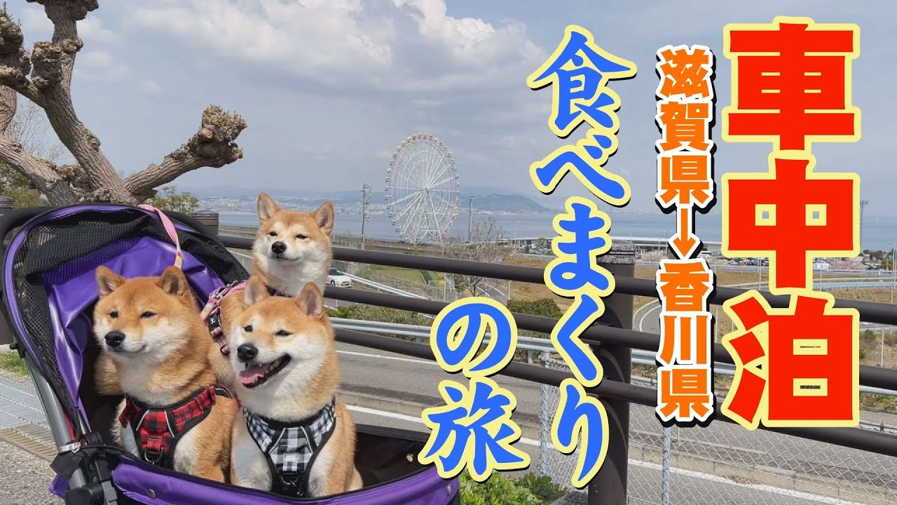 一週間、空腹に耐えたアラフォー夫婦が、香川県で名物を食べまくると・・・