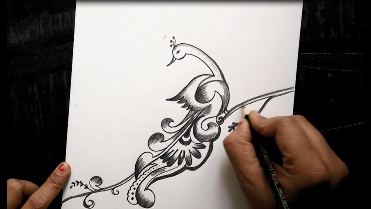 Free hand peacock design with pencil for beginners YouTube