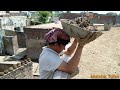 How to make mud Roof //مٹی کی چھت تیار کرنےکا مکمل طریقہ🏣ا//village life