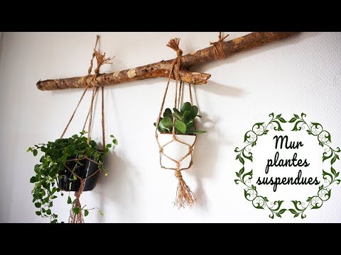 Tutoriel pour faire une suspension pour plante - DIY pots à succulentes  suspendus
