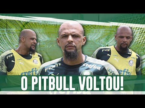 🚨📰 FELIPE MELO SE RECUPERA E TREINA NORMALMENTE! ABEL FERREIRA TEM TRÊS REFORÇOS PARA O CLÁSSICO!