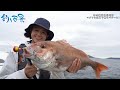 【釣り百景】#439 春の愛媛県松山沖 マダイの宝庫で鯛ラバゲーム