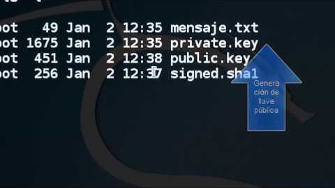 firma digital con openssl