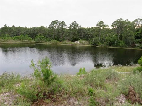 4235 SOUNDSIDE DR, Gulf Breeze, FL home video tour