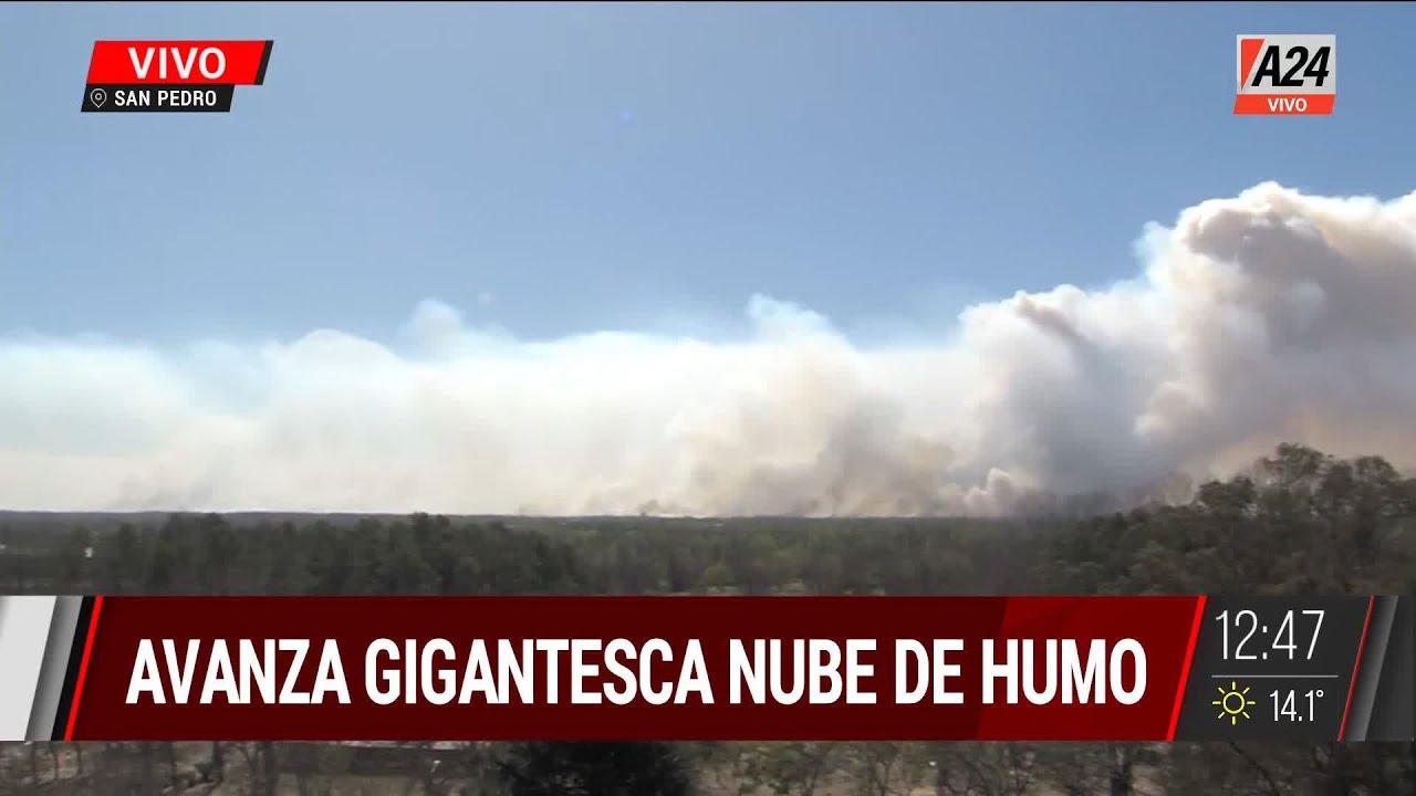 La angustia de los vecinos por el humo de los incendios del Delta I A24 ...