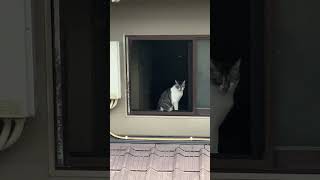 IMG 4775