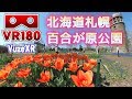 【VR180】百合が原公園【Vuze XR】