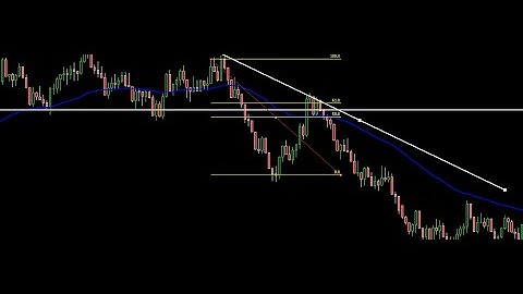 How to Trade Fibonacci Retracement Explained in Detail (100% Winning Strategy)