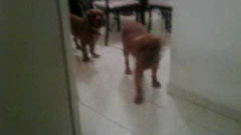 Fwd: Delivery Status Notification (Failure)