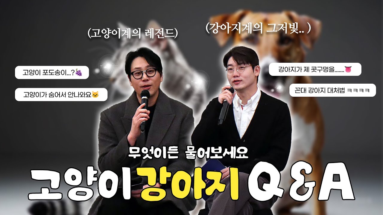 고양이,강아지계의 레전드 나응식,설채현 수의사님 모셨습니다 ! 강아지 고양이 관련 아니 뭐든지 물어보세요 !! 에스동물메디컬센터 직원 대상 무물 시원하게 답변해주셨습니다