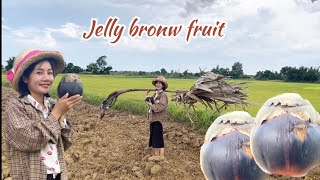 ចាហួយត្នោតបុរាណ/jelly brown fruit Traditional jellyfood2023￼ ratha