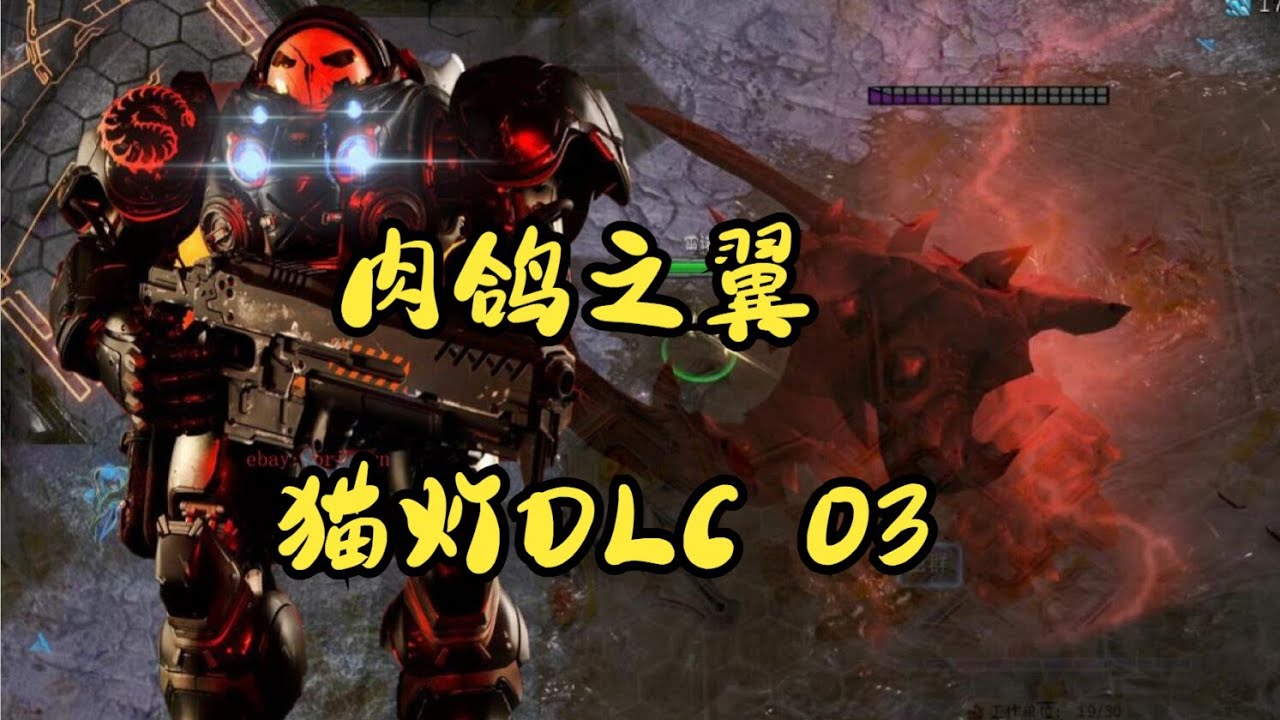 雷诺的碎星左轮已启用！【肉鸽之翼猫灯DLC 勇士】03