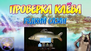 РУССКАЯ РЫБАЛКА 4 (РР4) - РЕДКИЙ СИНИЙ САЗАН + 2 ТРОФ САЗАНА