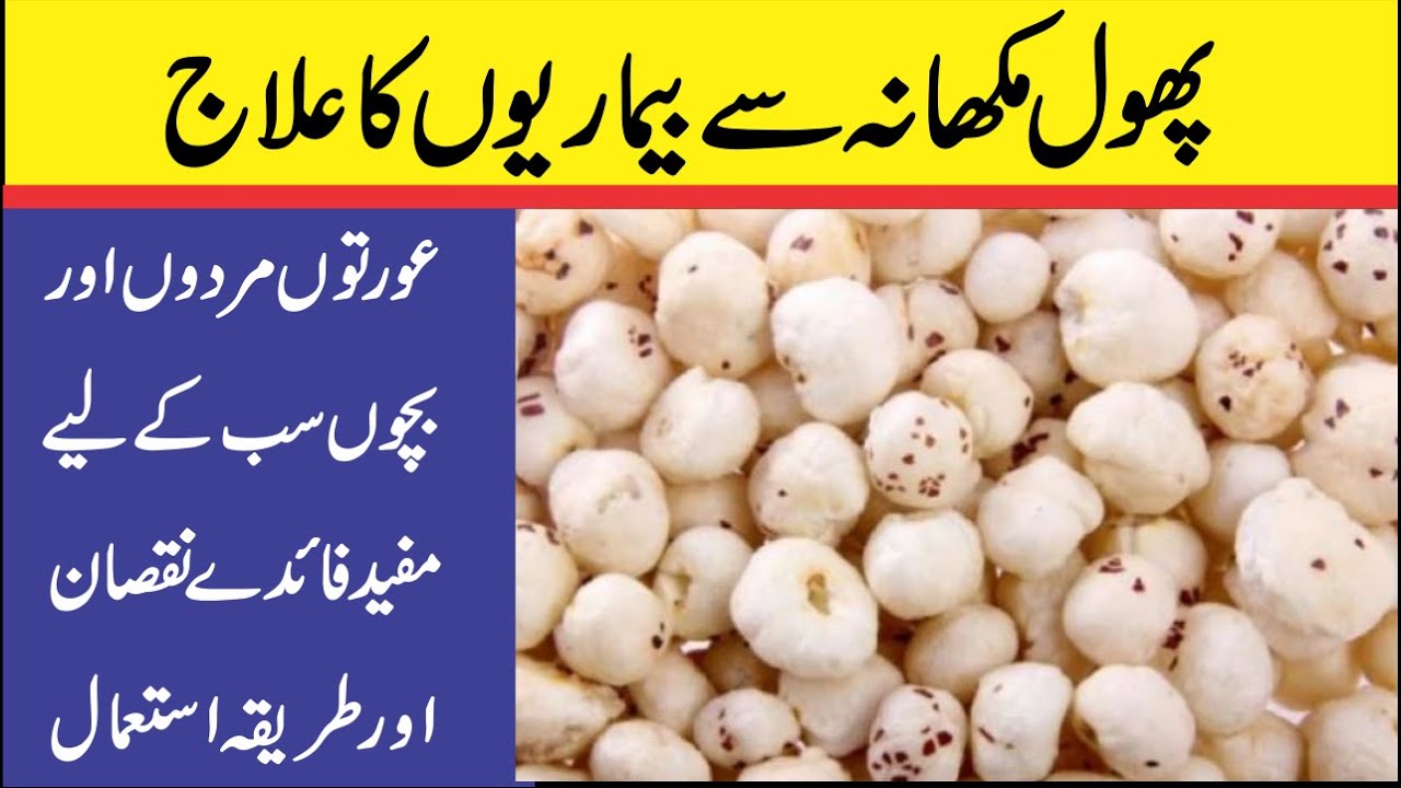 Health Benefits Of Phool Makhana Phool Makhana Ke Fayde Fox Nuts Benefits Lotus Seeds Youtube It is highly nutritious & has unique makhana is the most popular name in india for euryale ferox, a flowering plant classified in the water lily family (nymphaeaceae) and the only extant species. youtube