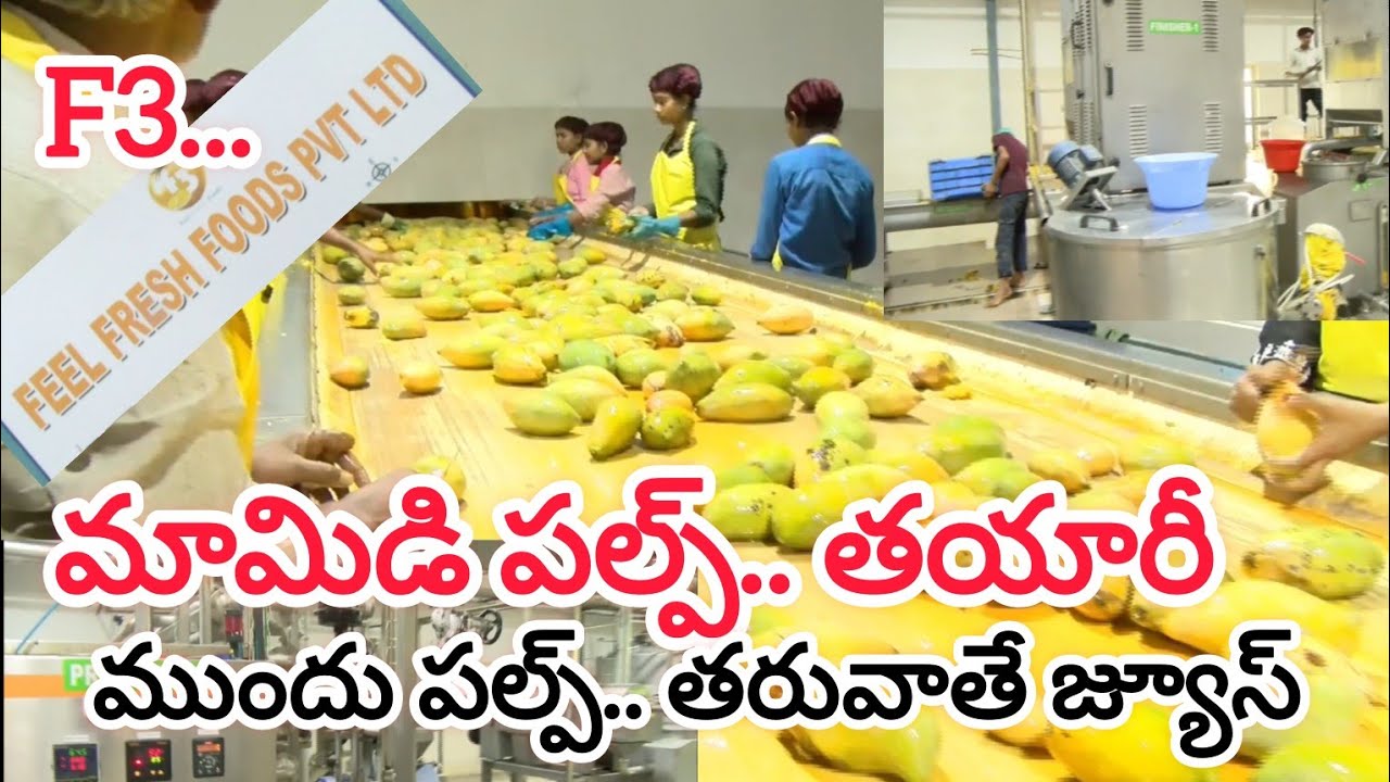 Thothapuri Mango Juice Pulpy Making Company F3 CMD Ramesh Naidu Full Interview