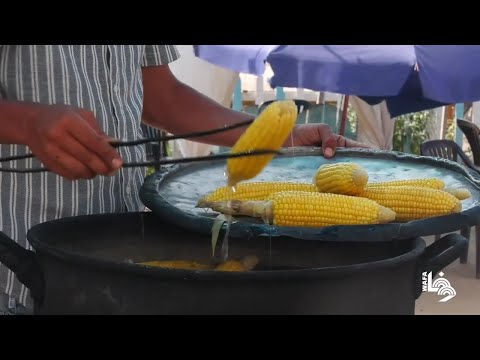 بسطات بيع الذرة مصدر رزق صيفي للعاطلين عن العمل على شاطئ بحر غزة