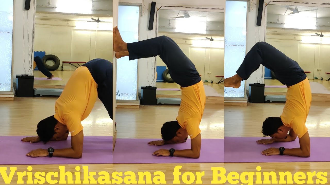 Scorpion Pose | Vrischikasana for Beginners | Scorpion Pose with Wall Support 