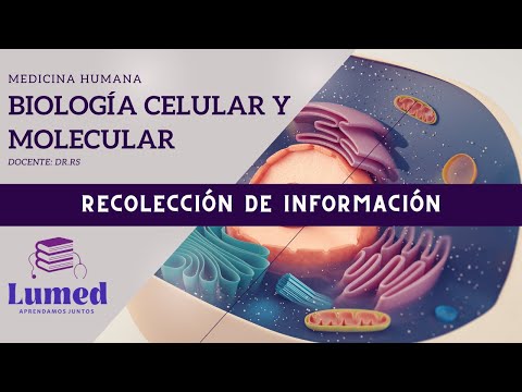 Tutoria: Recolección de Información