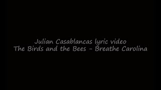 Breathe Carolina - The Birds and the Bees (Julian Casablancas Lyric Video)
