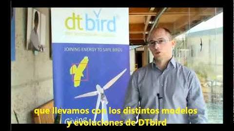 DTbird