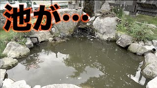 釣りよかハウスの池がこんな事になるなんて・・・。