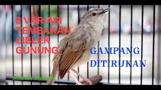 MASTERAN CIGUN NGEBREN 8 MACAM TEMBAKAN TAJAM