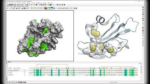 Homology Modeling using MolSoft