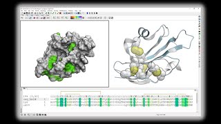 Homology Modeling using MolSoft's ICM-Pro