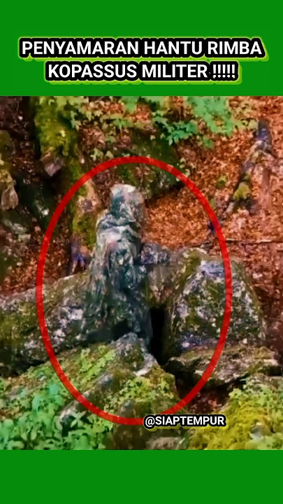 Jungle ghost trapping the enemy☠️#shorts #army #news #army #kopassus #hanturimba #bravotni #tniad...
