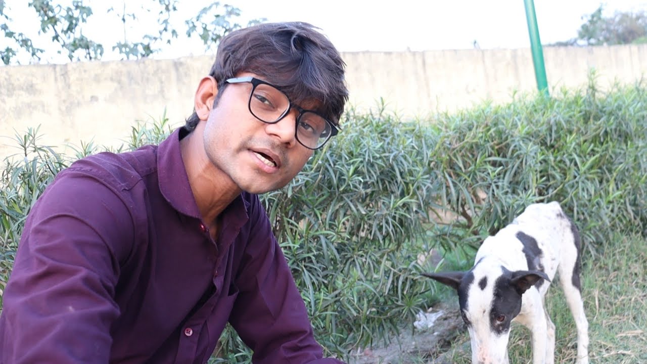 Gobhi Ka Paratha 😋 