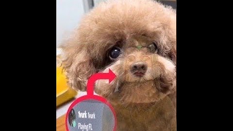 How to make beats Glo beats for Osamason and Ken Carson 〡 FL Studio Tutorial