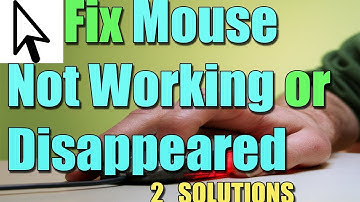 Error MOUSE CURSOR Disappears on Windows 11/10/8 I 2 SOLUTIONS 2025