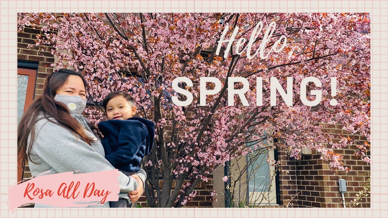 Spring Season in Melbourne | Art Appreciation for Educators | Learn Colors with Rosa All Day (2020)