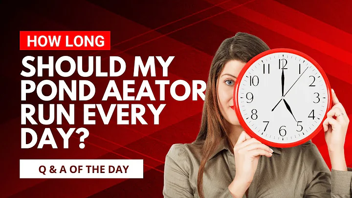 Should I Leave My Pond Aerator On All The Time?