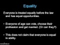 Foundations of Democracy: Individual Contribution and Equality