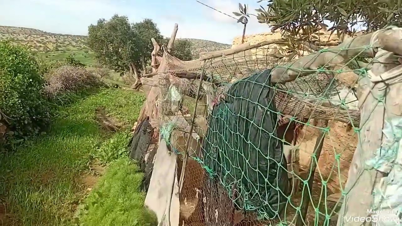 فلوق في العرس  ، وشاركت معاكم الفطور في طبيعة 🤩❤️