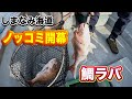 【鯛ラバ】ノッコミ開幕！久しぶりの良型真鯛の引きが最高すぎた