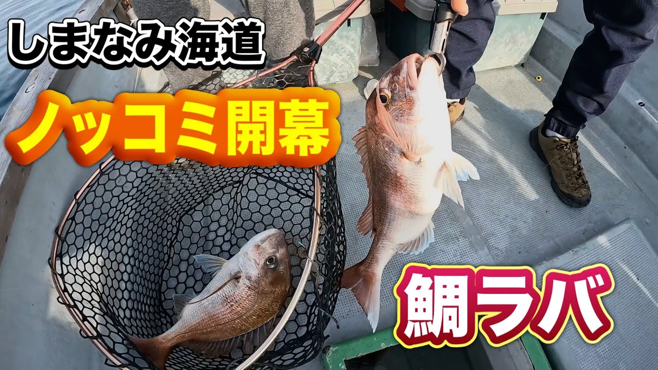 【鯛ラバ】ノッコミ開幕！久しぶりの良型真鯛の引きが最高すぎた