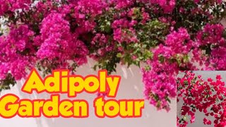 Garden tour /creative garden arrangements /Àan Aan style