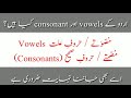 Urdu Grammar For All Urdu Students || Urdu ke Consonants and Vowels|| مصوتے اور مصمتے || علت صحیح