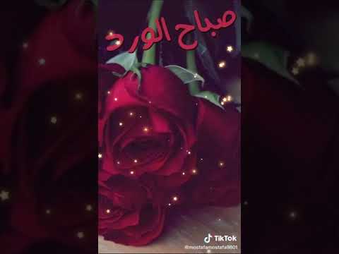 اجمل صباح الخير حلا ت واتساب