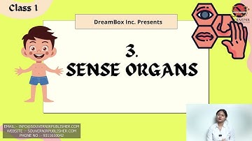 Amber EVS  || Chapter 3 || Class 1