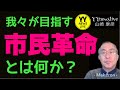 【まとめ】我々が目指す『市民革命』とは何か？