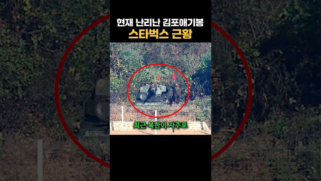 현재 난리난 김포 애기봉 스타벅스 근황 ㄷㄷ