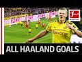 Erling Haaland Scores Again - 7 Goals in 3 Games for Borussia Dortmund