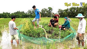 Bơm Nước Bắt Chuột Phá Hoại Mùa Màng 3 Gò Mã Đã Lấy Cốt Và Kết Quả P.1/Catch The Mouse/NGÃ NĂM TV