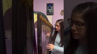 #harpist  Rosa connected an electric #harp  to the #caline  CP-505 Wave Machine Chorus #pedal .